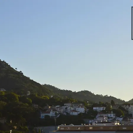 Sunny Hill